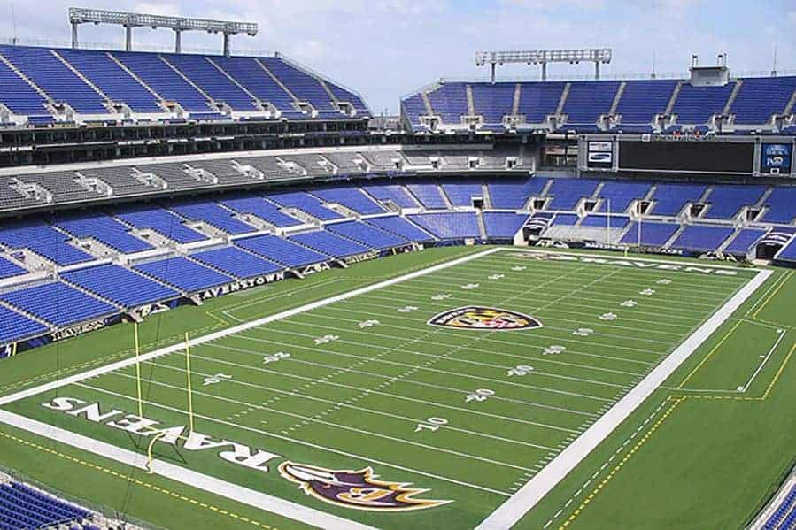 Baltimore Ravens Mt Stadium Brock Usa Shock Pads For