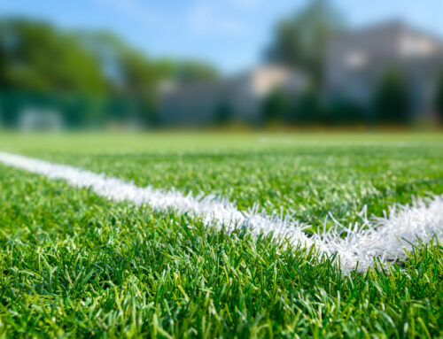 Is it really Natural Grass, or is it Engineered Grass?